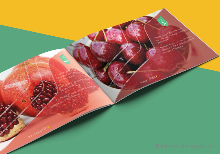 上海畫冊(cè)設(shè)計(jì)公司設(shè)計(jì)欣賞-高大上水果干果農(nóng)產(chǎn)品品牌宣傳畫冊(cè)設(shè)計(jì)3 上海畫冊(cè)設(shè)計(jì)公司設(shè)計(jì)欣賞-高大上水果干果農(nóng)產(chǎn)品品牌宣傳畫冊(cè)設(shè)計(jì)3