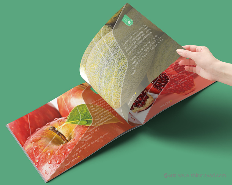 上海畫冊(cè)設(shè)計(jì)公司設(shè)計(jì)欣賞-高大上水果干果農(nóng)產(chǎn)品品牌宣傳畫冊(cè)設(shè)計(jì)4 上海畫冊(cè)設(shè)計(jì)公司設(shè)計(jì)欣賞-高大上水果干果農(nóng)產(chǎn)品品牌宣傳畫冊(cè)設(shè)計(jì)4