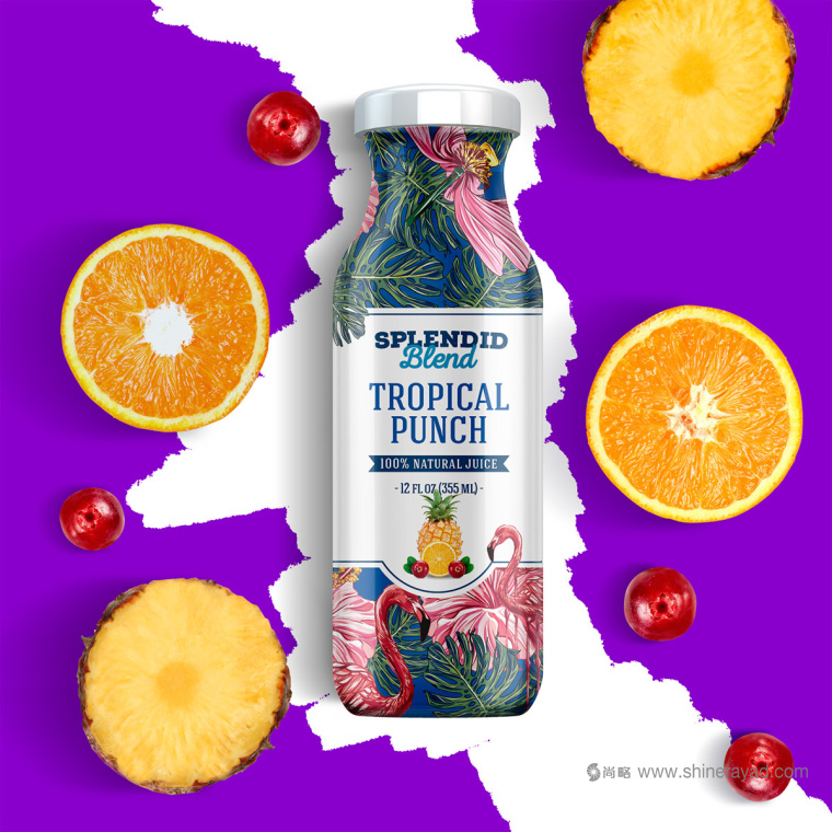 大面積水果插畫加留白版式的Splendid 果汁飲料包裝設(shè)計(jì)作品欣賞