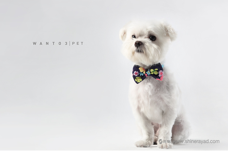 上海包裝設(shè)計(jì)公司設(shè)計(jì)欣賞：Wanto3 香薰香氛寵物用品系列包裝設(shè)計(jì)