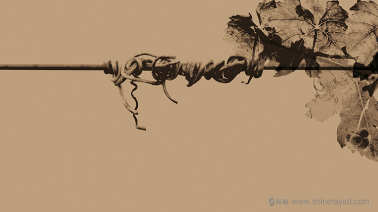 非常高檔藝術(shù)的暗金色Covi?as葡萄酒酒莊宣傳畫冊設(shè)計-上海宣傳畫冊設(shè)計公司1