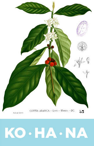 KOHANA咖啡包裝花朵插畫(huà)設(shè)計(jì)-上海包裝設(shè)計(jì)公司