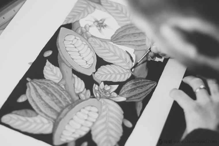 國(guó)外手繪植物花卉插畫(huà)風(fēng)格洋酒包裝設(shè)計(jì)-curio杜松子酒和伏特加酒包裝設(shè)計(jì)5 國(guó)外手繪植物花卉插畫(huà)風(fēng)格洋酒包裝設(shè)計(jì)-curio杜松子酒和伏特加酒包裝設(shè)計(jì)5