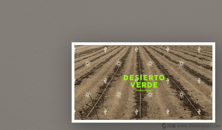 Desierto Verde 有機農產品品品牌LOGO設計-上海LOGO設計公司13
