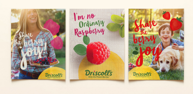 Driscoll''s 漿果新品牌形象設(shè)計-平面廣告海報設(shè)計-上海品牌策劃設(shè)計公司 Driscoll''s 漿果新品牌形象設(shè)計-平面廣告海報設(shè)計-上海品牌策劃設(shè)計公司