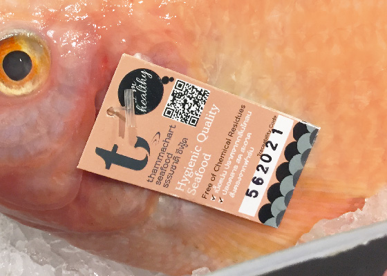 THAMMACHART 海鮮品牌logo設(shè)計(jì)與海產(chǎn)品包裝設(shè)計(jì)-上海LOGO設(shè)計(jì)公司-上海包裝設(shè)計(jì)公司7