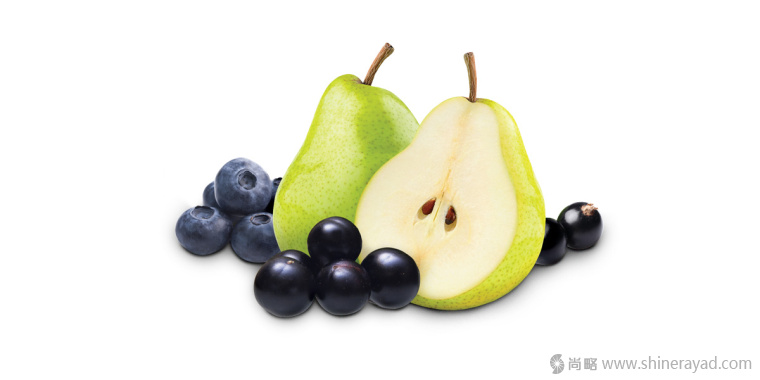 RAFFERTY''S GARDEN 嬰幼兒營養(yǎng)果蔬汁泥輔食包裝插畫設(shè)計-上海包裝設(shè)計公司