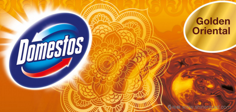 DOMESTOS 3合1廁所馬桶消毒清洗劑標(biāo)志設(shè)計(jì)包裝設(shè)計(jì)-上海標(biāo)志設(shè)計(jì)公司-上海包裝設(shè)計(jì)公司4