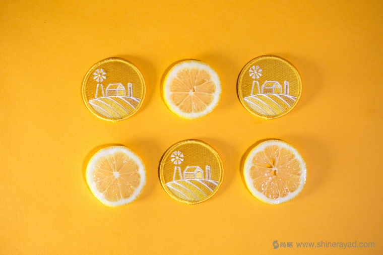 陽(yáng)光菜籃有機(jī)農(nóng)場(chǎng)蔬菜配送快遞服務(wù)品牌VI形象設(shè)計(jì)-上海VI設(shè)計(jì)公司7