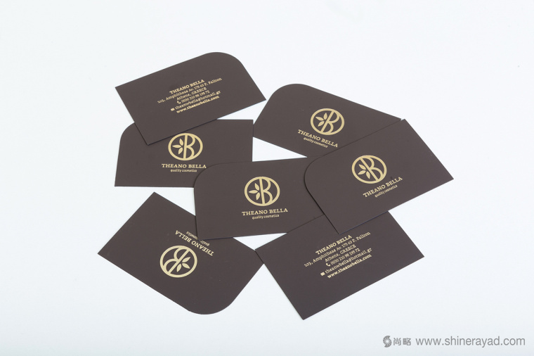Theano Bella 美容化妝品logo設(shè)計-上海logo設(shè)計公司11