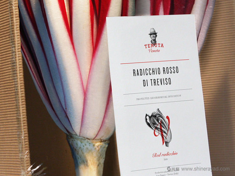 Tenuta 農(nóng)產(chǎn)品企業(yè)品牌形象設(shè)計腌制品包裝設(shè)計-上海包裝設(shè)計公司16