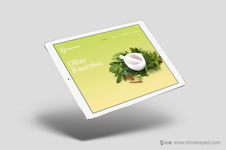 牙科牙醫(yī)保健診所網(wǎng)站設(shè)計(jì)-上海logo設(shè)計(jì)公司8