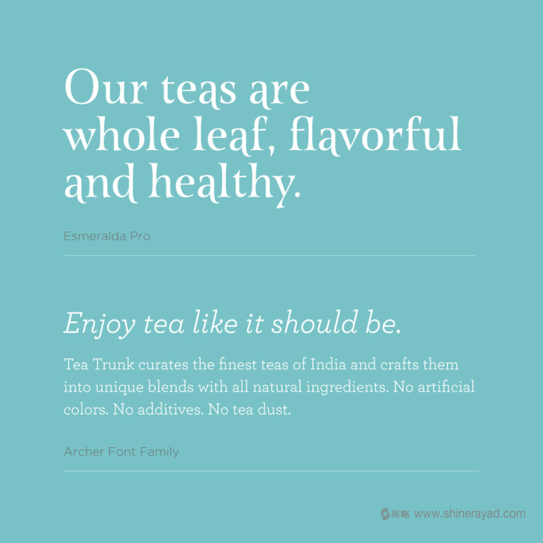 印度 Tea Trunk 茶葉小象卡通形象設(shè)計(jì)logo設(shè)計(jì)-上海品牌設(shè)計(jì)公司3