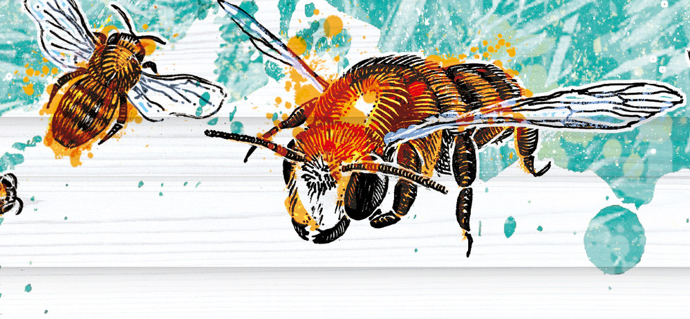 Abelha 有機(jī)甘蔗酒禮盒包裝設(shè)計(jì)蜜蜂插畫設(shè)計(jì)-上海包裝設(shè)計(jì)公司1 Abelha 有機(jī)甘蔗酒禮盒包裝設(shè)計(jì)蜜蜂插畫設(shè)計(jì)-上海包裝設(shè)計(jì)公司1