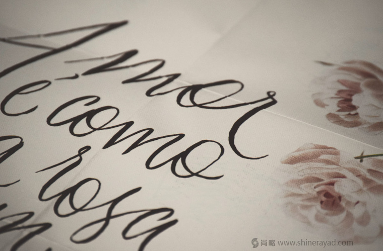 國(guó)外婚禮邀請(qǐng)函物料花鳥(niǎo)插畫(huà)設(shè)計(jì)藝術(shù)設(shè)計(jì)-上海品牌策劃設(shè)計(jì)公司11