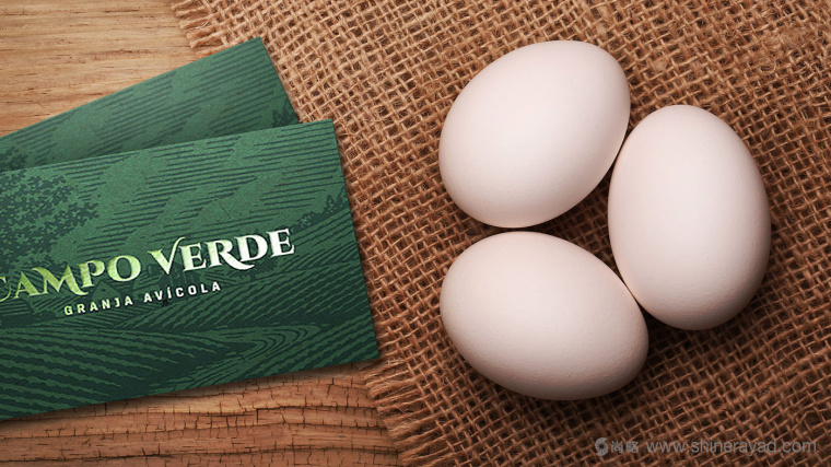 Campo Verde 雞蛋農(nóng)場logo設(shè)計VI設(shè)計-上海logo設(shè)計公司3