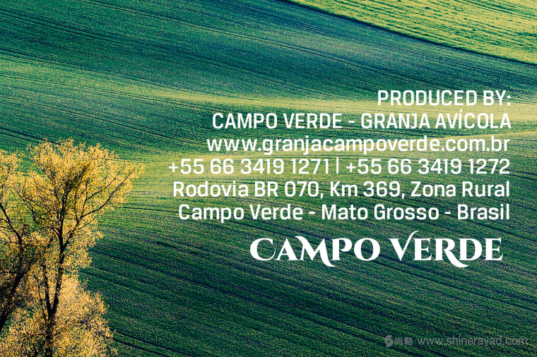 Campo Verde 雞蛋農(nóng)場logo設(shè)計VI設(shè)計-上海logo設(shè)計公司4
