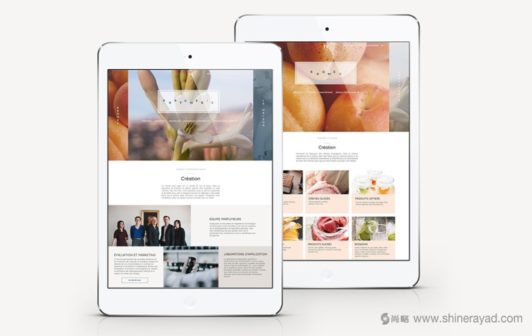 Jean Niel 香精香料公司純字母logo設(shè)計(jì)VI設(shè)計(jì)-上海VI設(shè)計(jì)公司7