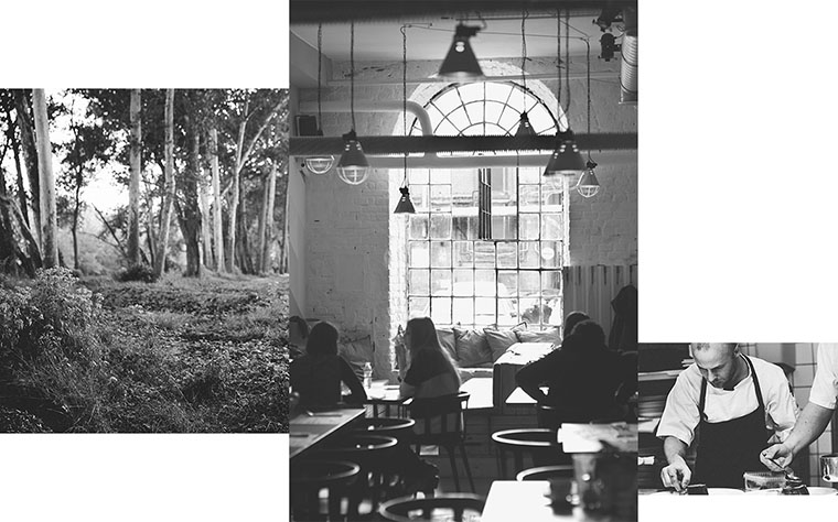 尼約德有機(jī)餐廳餐飲logo設(shè)計(jì)VI設(shè)計(jì)-菜單設(shè)計(jì)-上海VI設(shè)計(jì)公司