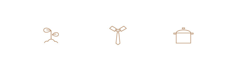 尊貴而優(yōu)雅的生活教練Mireia Ferrer品牌VI形象設(shè)計