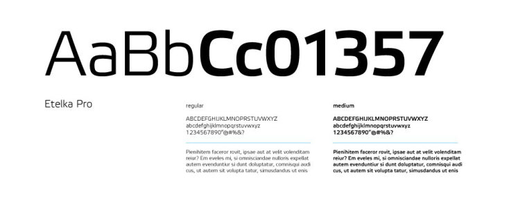 Braga國際性醫(yī)療保健醫(yī)院標(biāo)志設(shè)計-上海標(biāo)志設(shè)計公司