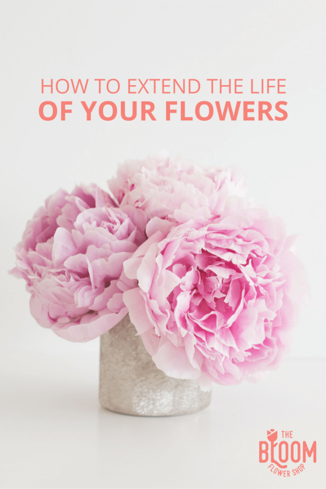 The Bloom 鮮花園藝logo設計品牌視覺形象設計-上海品牌設計公司