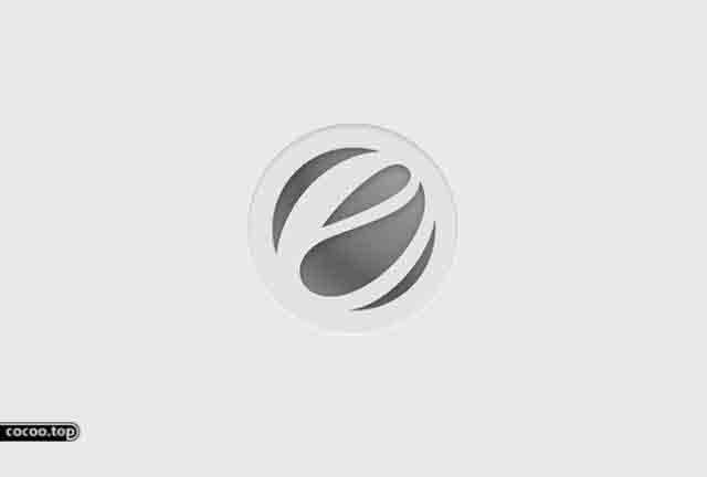 表象符號在標志設計中的藝術應用-一般表象和個體表象