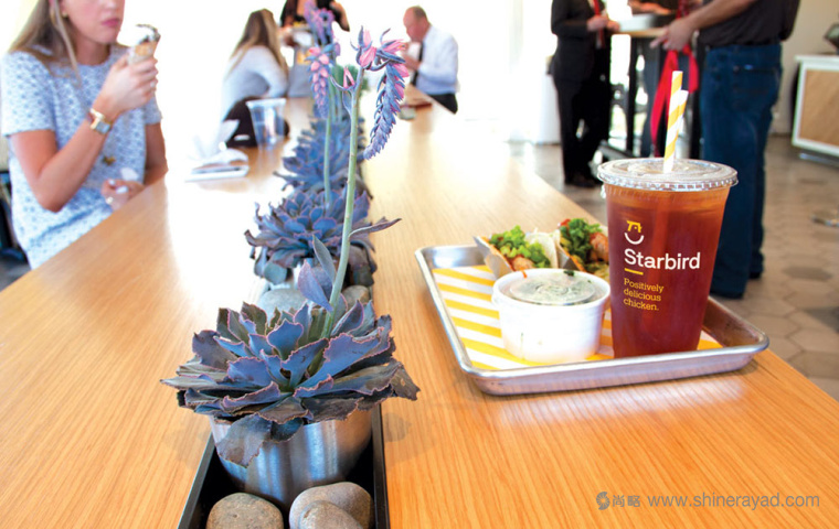 Starbird 炸雞快餐餐廳餐飲VI設(shè)計(jì)空間設(shè)計(jì)-上海VI設(shè)計(jì)公司