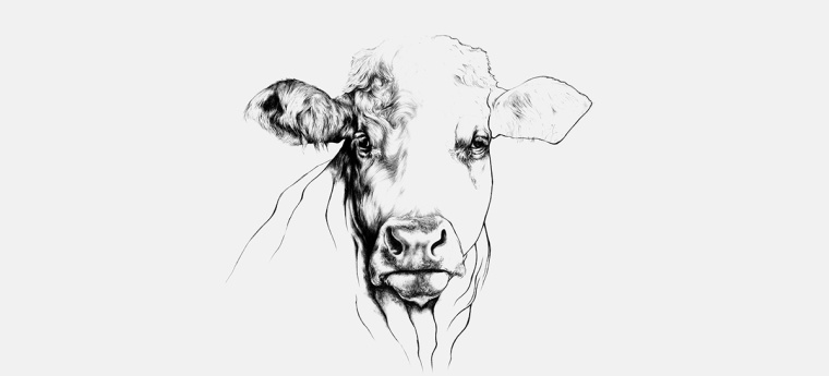 鉛筆動(dòng)物頭像插畫R?ROSKJ?TT鮮肉肉類品牌形象設(shè)計(jì)包裝設(shè)計(jì)