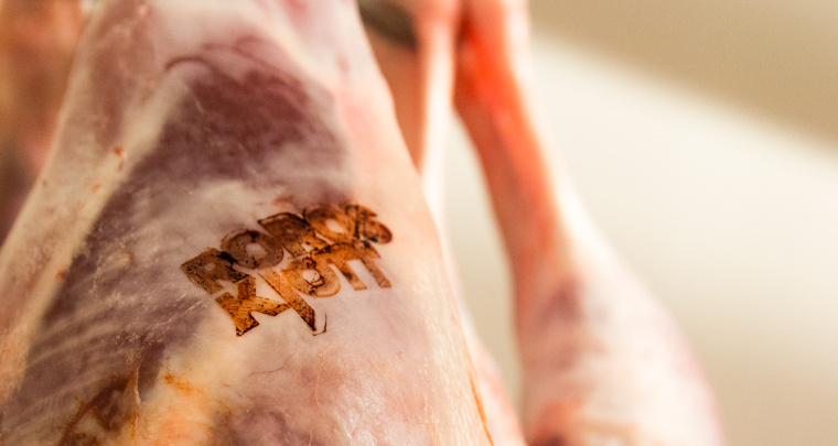 鉛筆動(dòng)物頭像插畫R?ROSKJ?TT鮮肉肉類品牌形象設(shè)計(jì)包裝設(shè)計(jì)