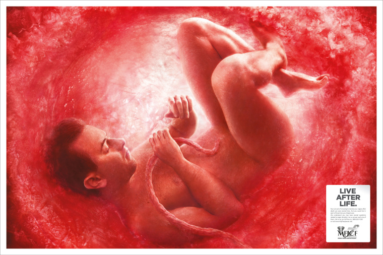 捐獻(xiàn)器官公益廣告：印度“在子宮里的人”平面廣告創(chuàng)意賞析-青年男性篇