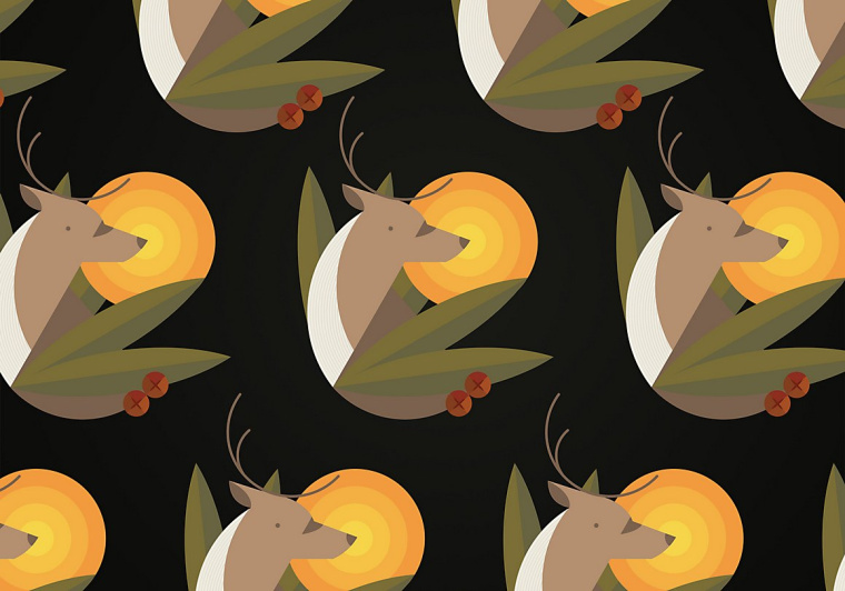 Punton di Leone 橄欖油包裝設(shè)計動物創(chuàng)意插畫篇-上海包裝設(shè)計公司食用油包裝欣賞