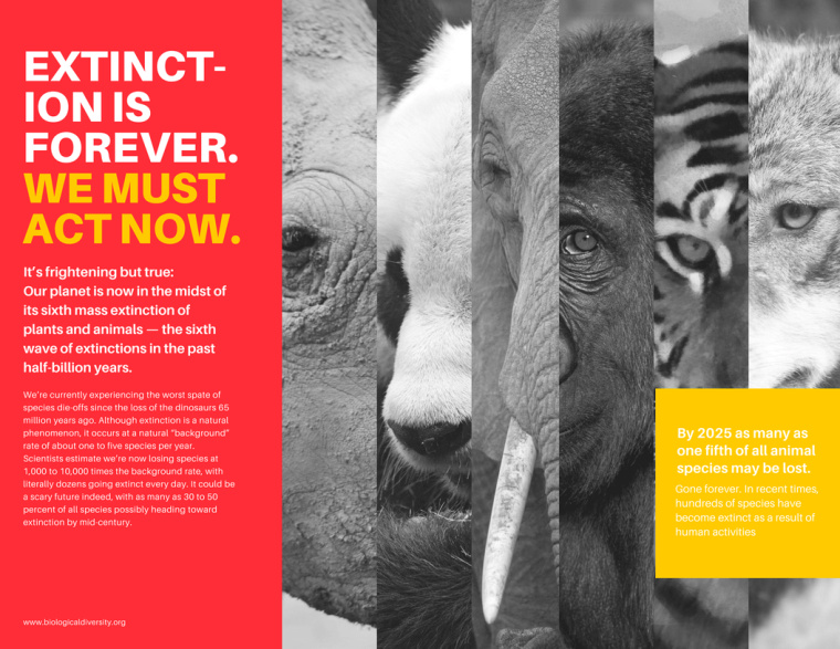 設(shè)計三折頁宣傳冊的20種創(chuàng)意方式-上海宣傳冊設(shè)計公司