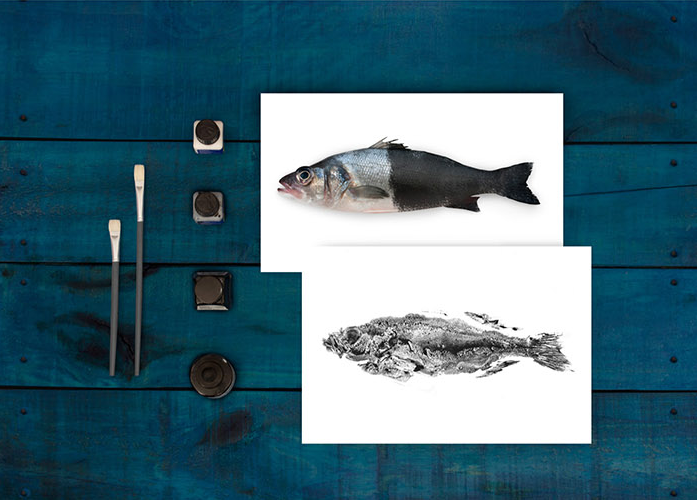 通過拓印設(shè)計的Reef 品牌海魚海鮮產(chǎn)品包裝設(shè)計欣賞-上海包裝設(shè)計公司