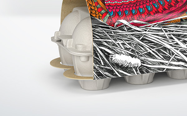 Layer Hen 雞蛋盒包裝設(shè)計“母雞插畫篇”-上海農(nóng)產(chǎn)品包裝設(shè)計公司