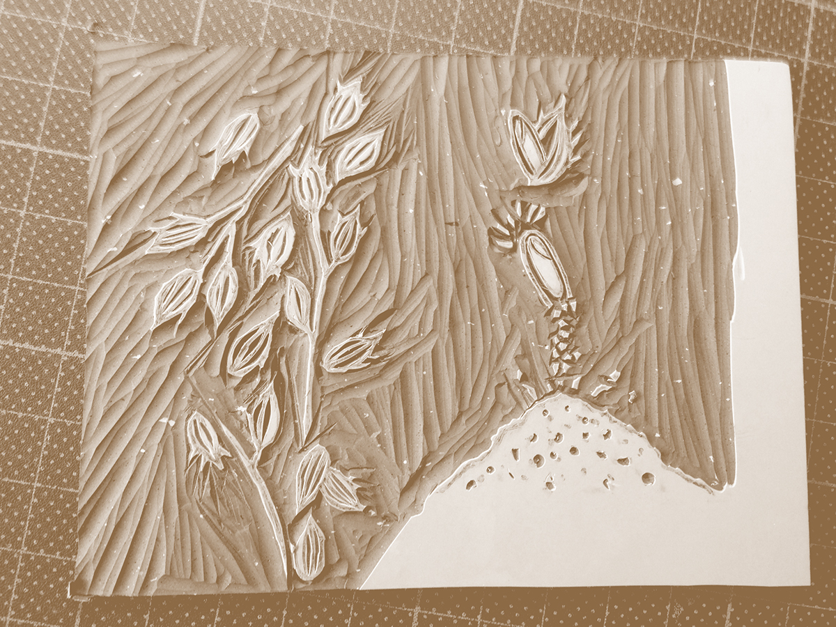 自然田天然農(nóng)場農(nóng)產(chǎn)品包裝設(shè)計(jì)-上海包裝設(shè)計(jì)公司