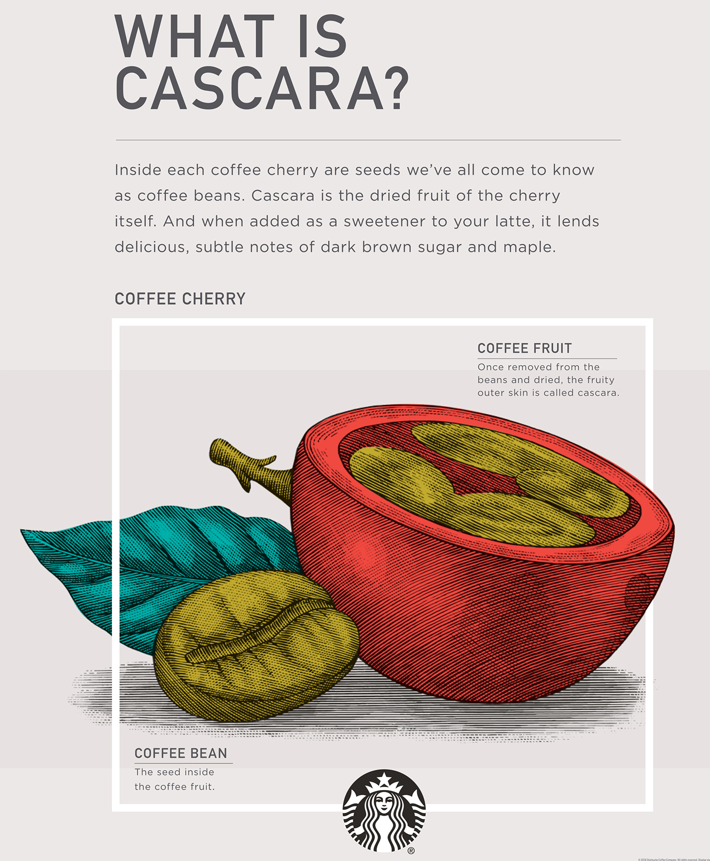 木版畫風(fēng)格星巴克冬季咖啡促銷宣傳插畫設(shè)計-上海品牌形象設(shè)計公司-上海平面設(shè)計公司 木版畫風(fēng)格星巴克冬季咖啡促銷宣傳插畫設(shè)計-上海品牌形象設(shè)計公司-上海平面設(shè)計公司