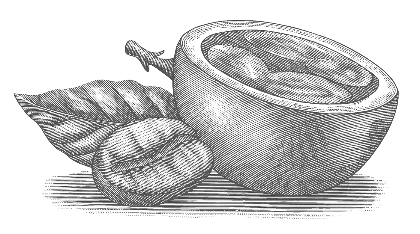 木版畫風(fēng)格星巴克冬季咖啡促銷宣傳插畫設(shè)計-上海品牌形象設(shè)計公司-上海平面設(shè)計公司 木版畫風(fēng)格星巴克冬季咖啡促銷宣傳插畫設(shè)計-上海品牌形象設(shè)計公司-上海平面設(shè)計公司