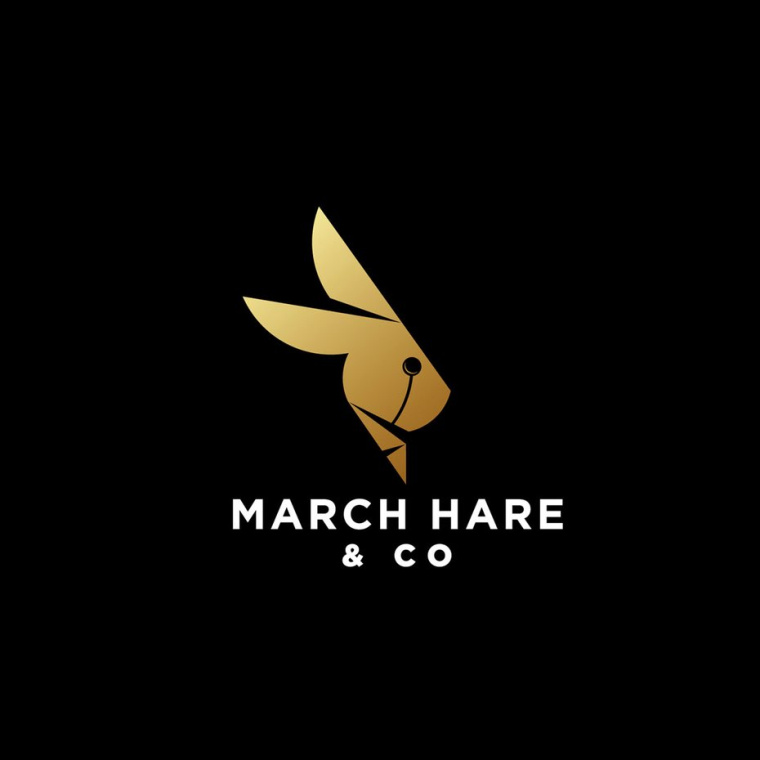 保守的動物金融logo-上海logo設(shè)計公司 保守的動物金融logo-上海logo設(shè)計公司