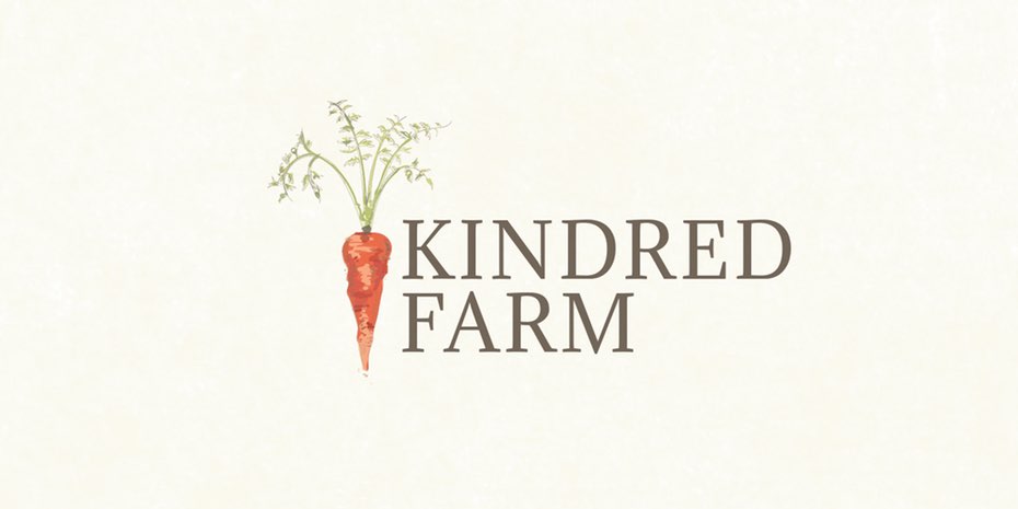 優(yōu)雅輕靈的橙色logo--充滿活力和激情的創(chuàng)意橙色logo設(shè)計欣賞-上海logo設(shè)計公司 優(yōu)雅輕靈的橙色logo--充滿活力和激情的創(chuàng)意橙色logo設(shè)計欣賞-上海logo設(shè)計公司