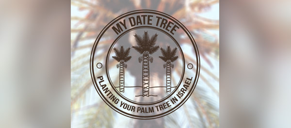 我的日期樹棕櫚樹logo-上海logo設(shè)計公司-上海品牌設(shè)計公司