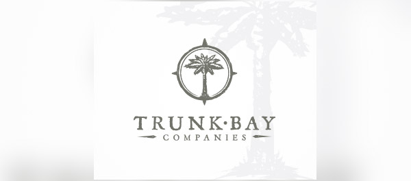 中轉(zhuǎn)灣棕櫚樹企業(yè)logo-上海logo設(shè)計公司-上海品牌設(shè)計公司