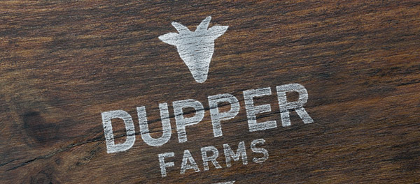 雙倍農(nóng)場山羊標志設(shè)計-上海標志設(shè)計公司