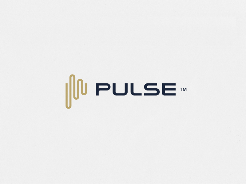 WIP Pulse銀行Logo設(shè)計-上海標(biāo)志設(shè)計公司 WIP Pulse銀行Logo設(shè)計-上海標(biāo)志設(shè)計公司