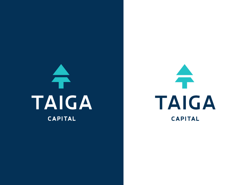 Deividas Bielskis為Taiga創(chuàng)作的銀行Logo設(shè)計-上海標(biāo)志設(shè)計公司 Deividas Bielskis為Taiga創(chuàng)作的銀行Logo設(shè)計-上海標(biāo)志設(shè)計公司
