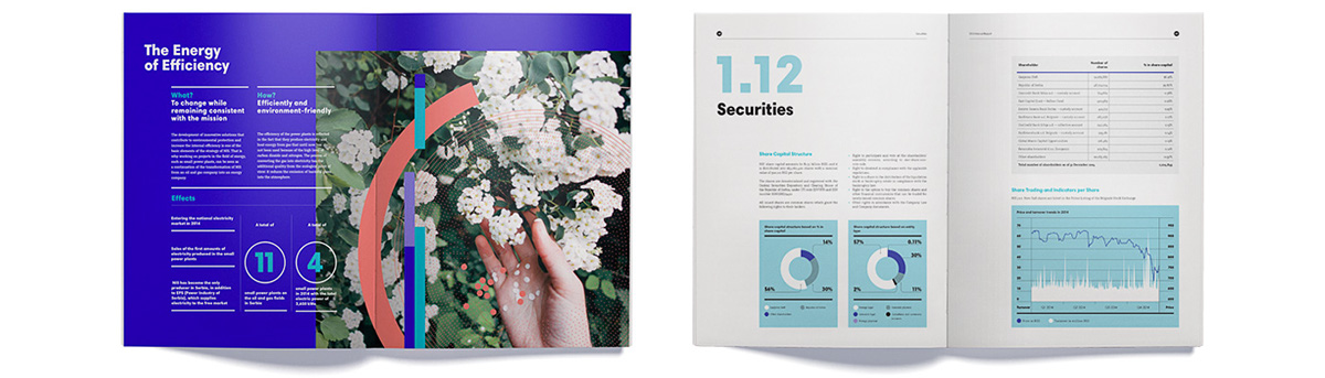 NIS企業(yè)年度報告畫冊設(shè)計-完美的信息圖表設(shè)計與配色設(shè)計-上海畫冊設(shè)計公司