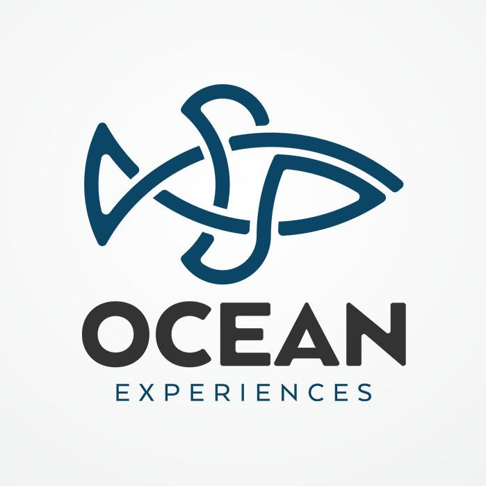 充滿運(yùn)動(dòng)感的魚(yú)logo設(shè)計(jì)-上海logo設(shè)計(jì)公司-上海品牌設(shè)計(jì)公司 充滿運(yùn)動(dòng)感的魚(yú)logo設(shè)計(jì)-上海logo設(shè)計(jì)公司-上海品牌設(shè)計(jì)公司