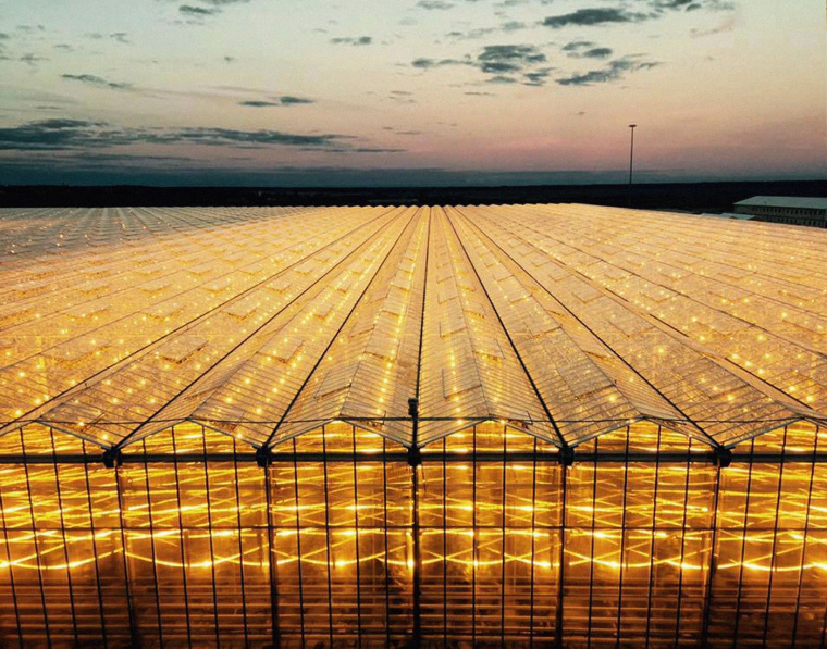 我的夏天品牌新鮮蔬菜包裝設(shè)計-上海農(nóng)產(chǎn)品包裝設(shè)計公司--上海農(nóng)業(yè)品牌策劃設(shè)計公司 我的夏天品牌新鮮蔬菜包裝設(shè)計-上海農(nóng)產(chǎn)品包裝設(shè)計公司--上海農(nóng)業(yè)品牌策劃設(shè)計公司