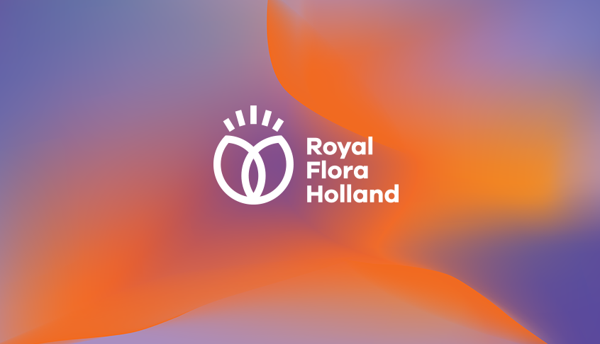 Royal Flora Holland 鮮花花卉種植合作社品牌logo設(shè)計(jì)-上海logo設(shè)計(jì)公司