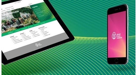 Royal Flora Holland 鮮花花卉種植合作社品牌VI設(shè)計(jì)-上海VI設(shè)計(jì)公司